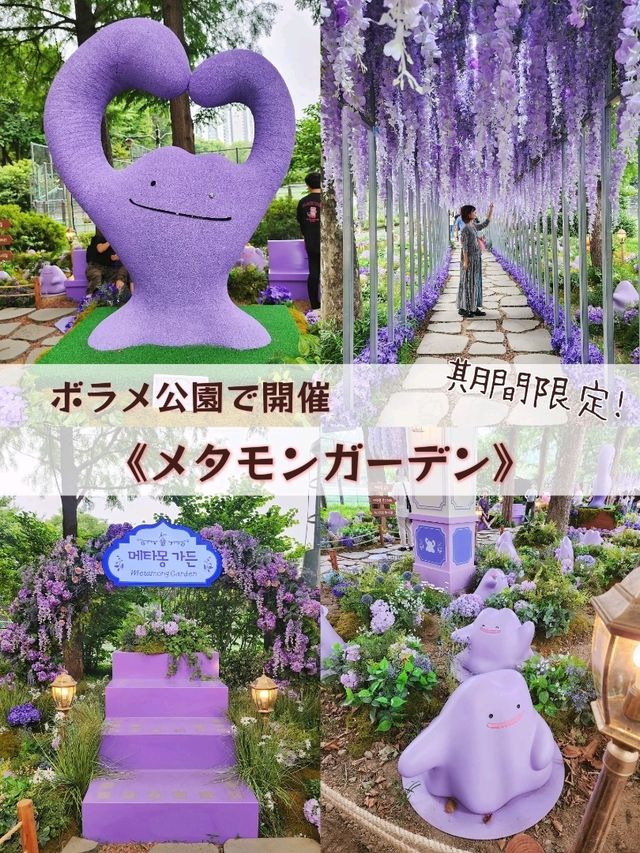 【ソウル🇰🇷】期間限定！メタモンガーデン🪻