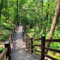 Cozy Trails & Calm Views