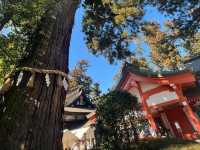 🏮江戸情緒が息づく「佐原の町並み」で、時を超える旅を