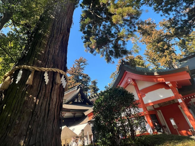 🏮江戸情緒が息づく「佐原の町並み」で、時を超える旅を