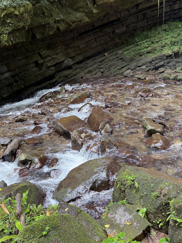 🌿 Escape to Nature's Hidden Gem! 🌊