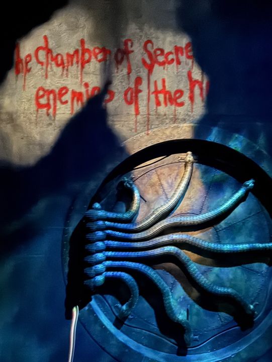 🪄✨ Step Into the Wizarding World at Harry Potter: Visions of Magic! ✨🪄 