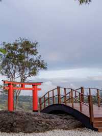 ที่นี่วิวดีทุกองศา at Phukaew Peak