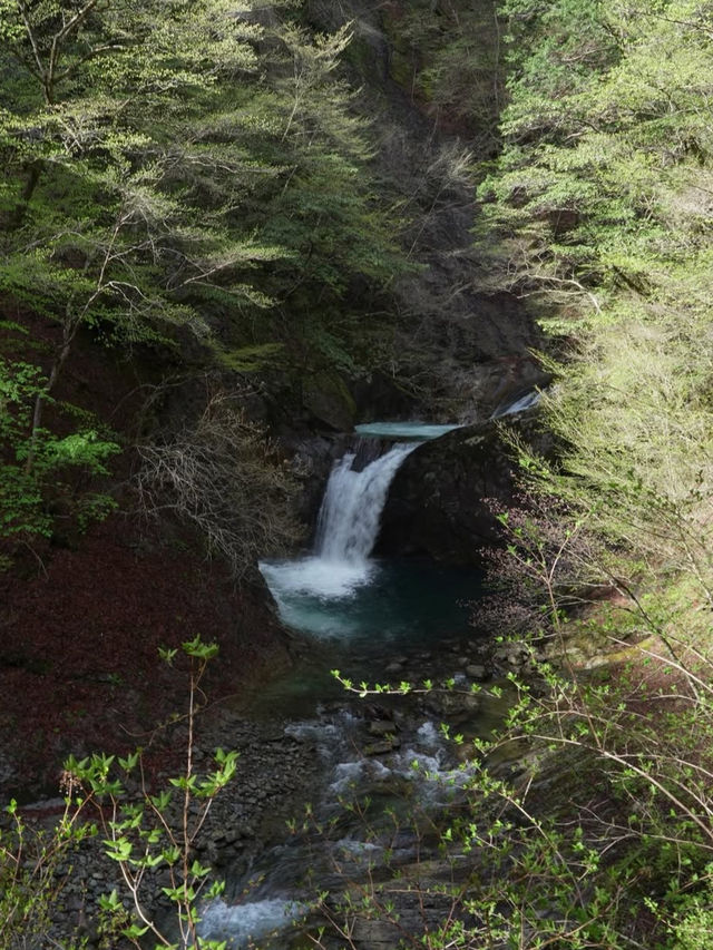 🌊滝と森に癒される絶景トレッキング！西沢渓谷で自然と一体になる旅🍃