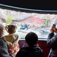 Exploring the Wonders of the International Antarctica Museum