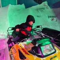 Exploring the Wonders of the International Antarctica Museum