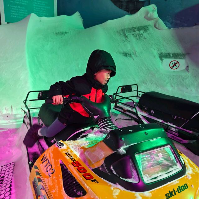 Exploring the Wonders of the International Antarctica Museum