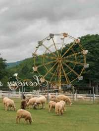 The Scenery Vintage Farm