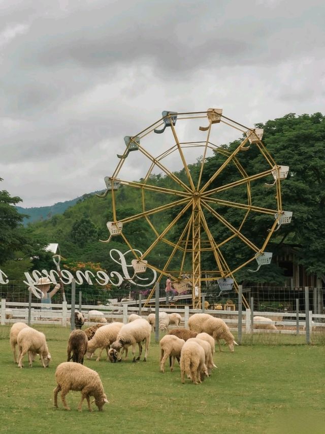 The Scenery Vintage Farm