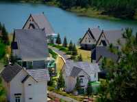 🌲 Dalat Wonder Resort 🌲