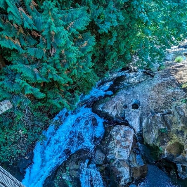 「Tumwater Falls」—静寂の中に響く滝の癒し