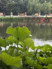 Kunming 9 Days Itinerary