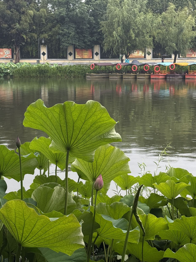 Kunming 9 Days Itinerary
