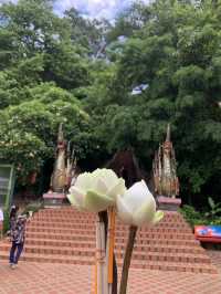วัดพระธาตุดอยสุเทพ — จุดชมวิวเมืองเชียงใหม่