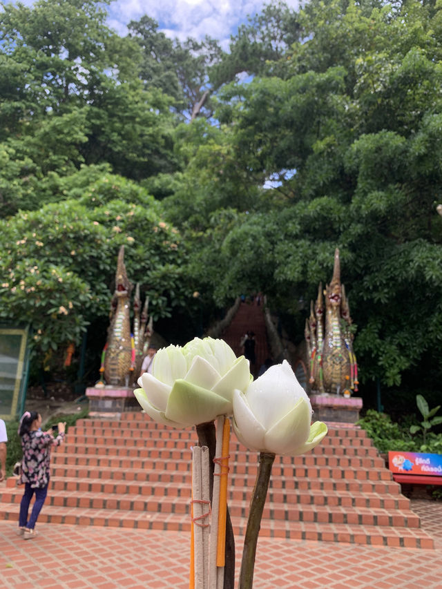 วัดพระธาตุดอยสุเทพ — จุดชมวิวเมืองเชียงใหม่