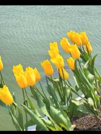 【自然と遊ぶ一日🌼】海の中道海浜公園でアクティブ＆癒しの休日を 