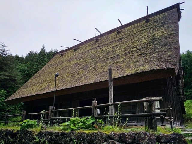 白川鄉合掌村太遠！！那就去飛驒之里吧！🏡✨