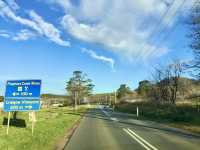 Say cheese in Tasmania: A delightful pause at The Wicked Cheese Company