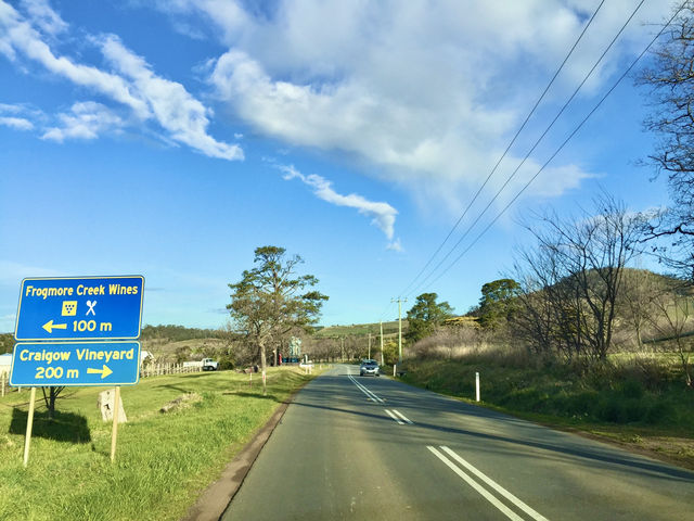 Say cheese in Tasmania: A delightful pause at The Wicked Cheese Company