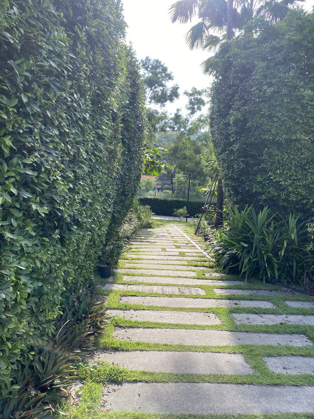 The Gallery Hotel Nai Harn 🏨🌿