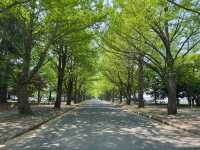 圓山公園登頂
