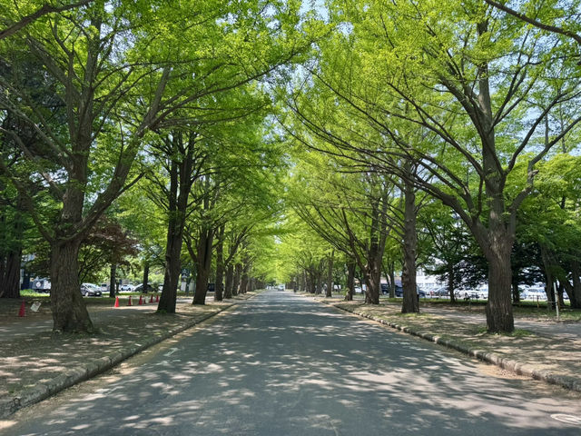 圓山公園登頂