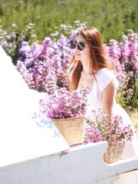 ชวนเที่ยวสวรดอกไม้ เชียงใหม่