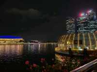 Beautiful Nightview at Marina Bay Sands 