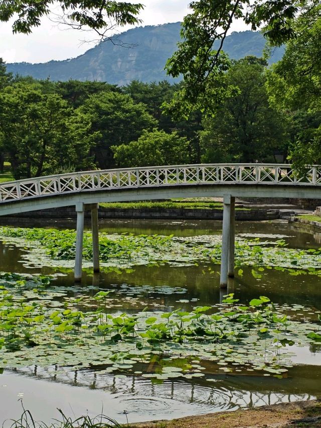 Gyeongbokgung Palace, Seoul. 