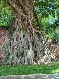 Temple Thailand