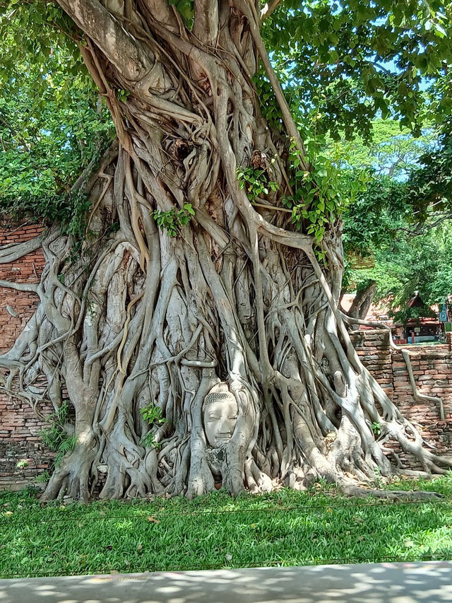 Temple Thailand