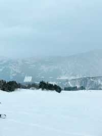【富山】立山山麓スキー場