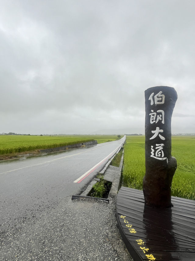 💦雨天版伯朗大道｜金城武樹水鏡奇景 ，其實遺憾也是旅途的一部分！