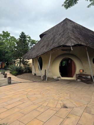 The Cocoon Chaingmail