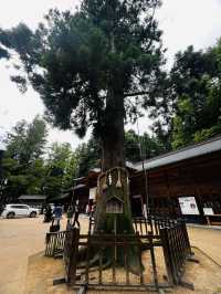 「自然の中で、心が静かに整っていく。」そんな不思議な体験、最近いつしましたか？