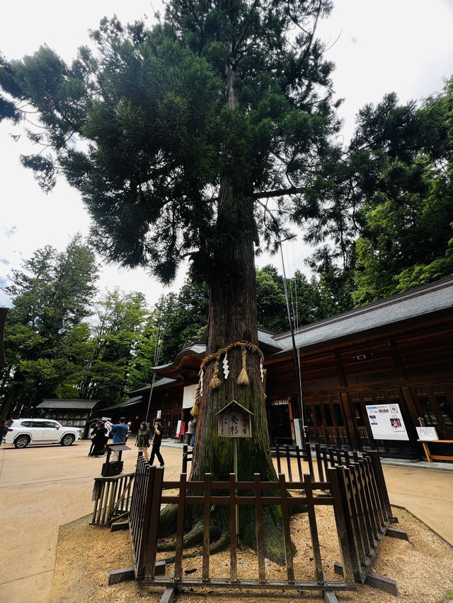 「自然の中で、心が静かに整っていく。」そんな不思議な体験、最近いつしましたか？