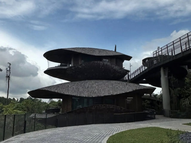 My Stay at Banyan Tree Mandai Rainforest Singapore: A Deep Dive into Nature 🇸🇬🌳