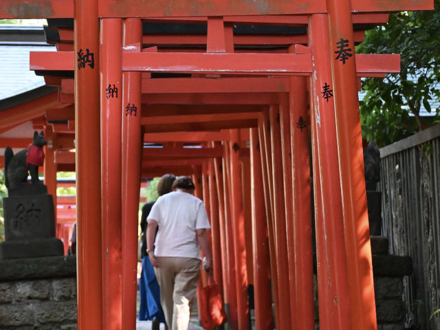 Half-Day Trip to Nezu Shrine & Yanaka Ginza from Tokyo! 🚶‍♀️⛩️
