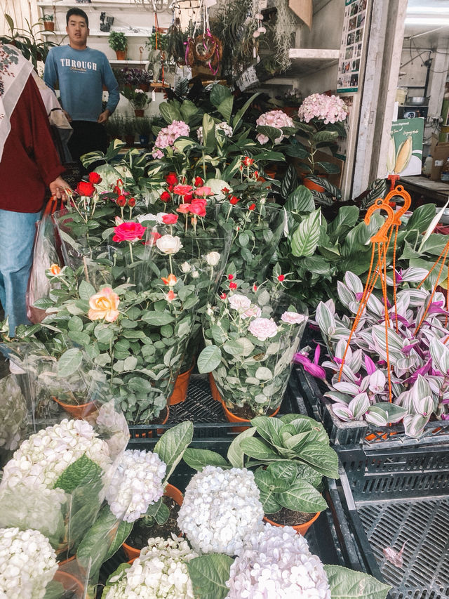 Strawberries, Souvenirs & Highland Vibes at Kea Farm 🍓