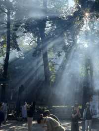 杭州靈隱寺：江南最具獨特禪意兼美學之叢林寺院