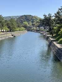 🌿 A Day by the Kamo River: Kyoto’s Calm in Motion 🏞️⛅