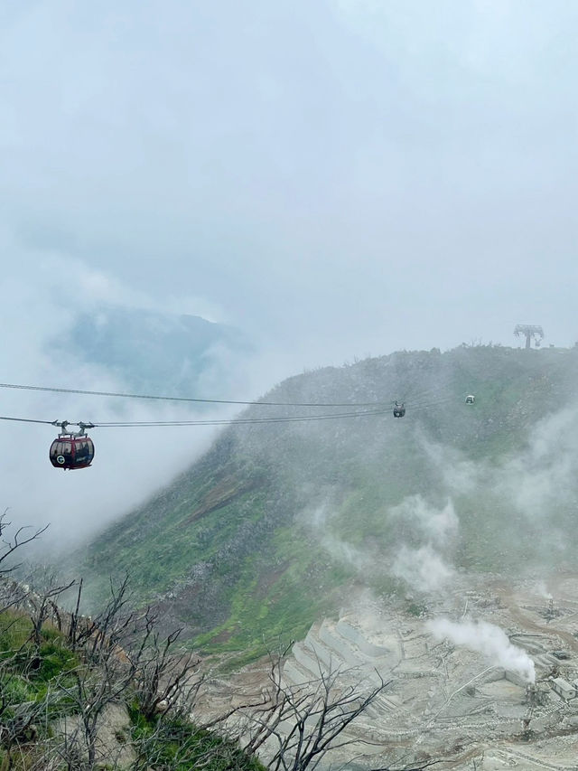 箱根必吃黑蛋在這！搭纜車賞地熱景超震撼🚡