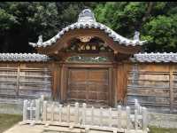 🍁東京・後楽園｜小石川後楽園｜都心のオアシスで、日本と中国の美が融合する庭園散歩🌿✨