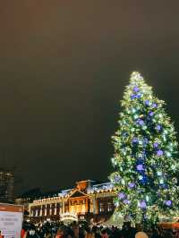 유럽 3대 크리스마스 마켓! 스트라스부르에 가다🎄