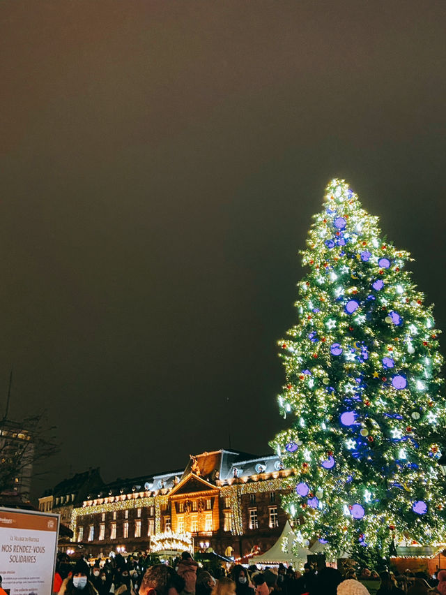 유럽 3대 크리스마스 마켓! 스트라스부르에 가다🎄