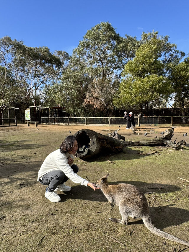 Moonlit Sanctuary Wildlife Conservation Park 
