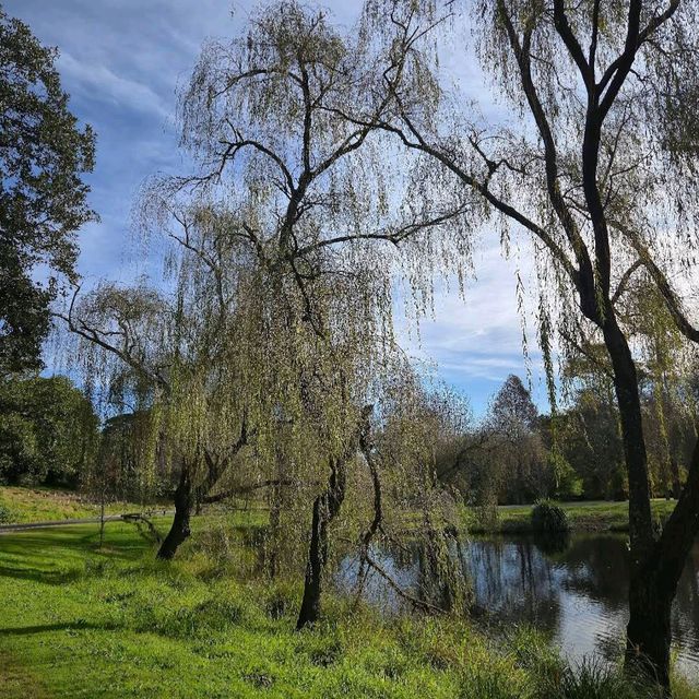 Centennial Parklands