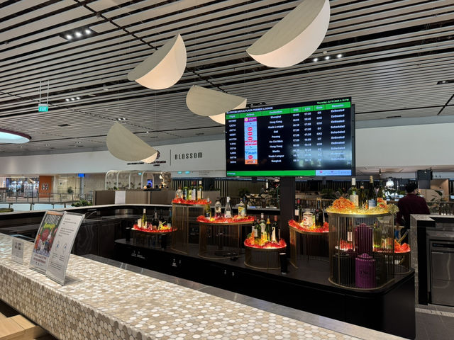 🛫 A Relaxing Pre-Flight Oasis – Blossom Lounge at Changi T4
