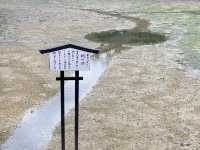 【広島】厳島神社の足元が奇跡的に見れた日