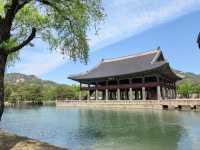 Timeless Majesty: Exploring Gyeongbokgung Palace